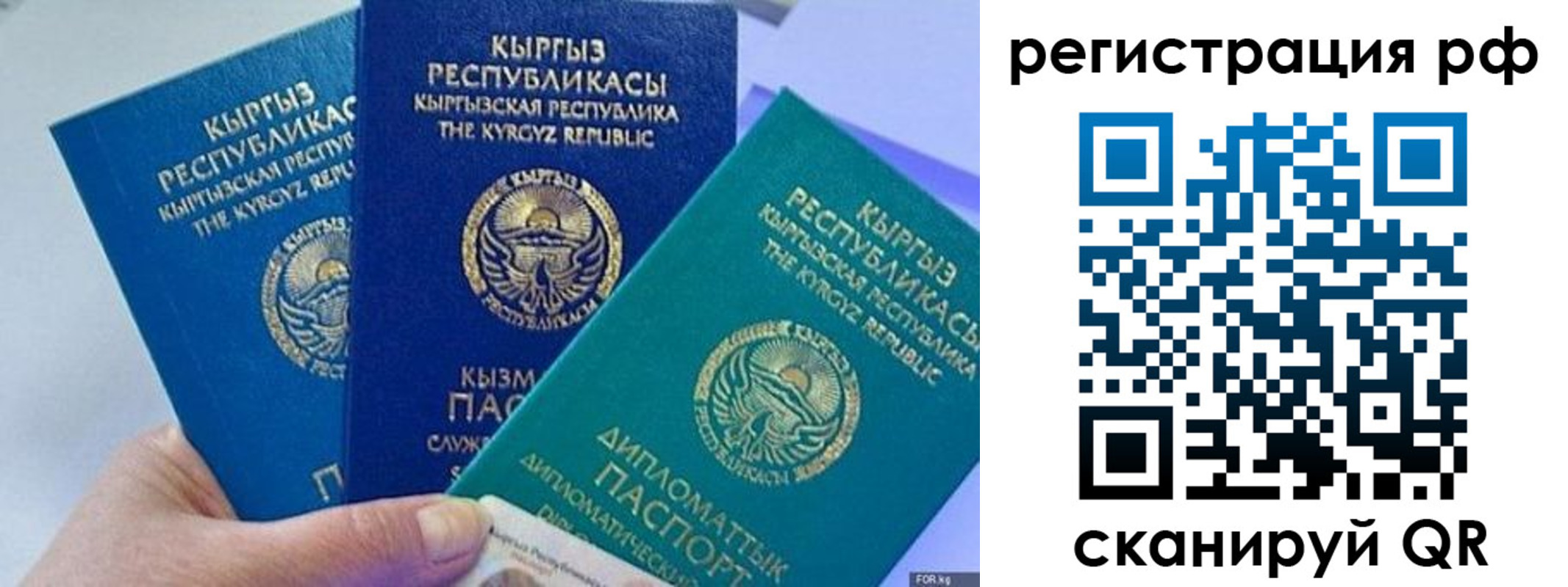 прописка для школы в Тамбове